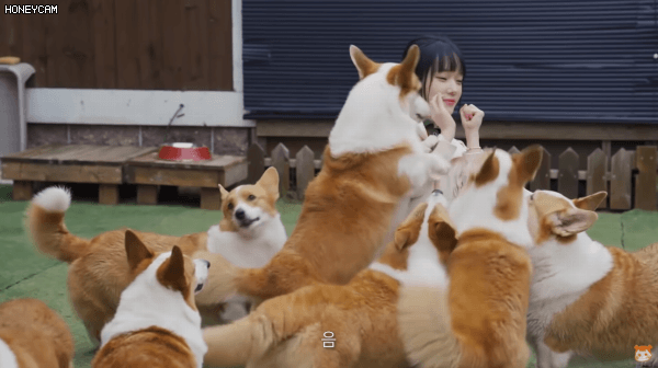 16178765488481.gif